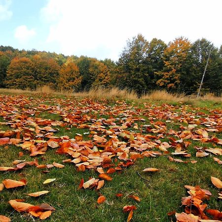 Отель Motolan Mehadica Экстерьер фото