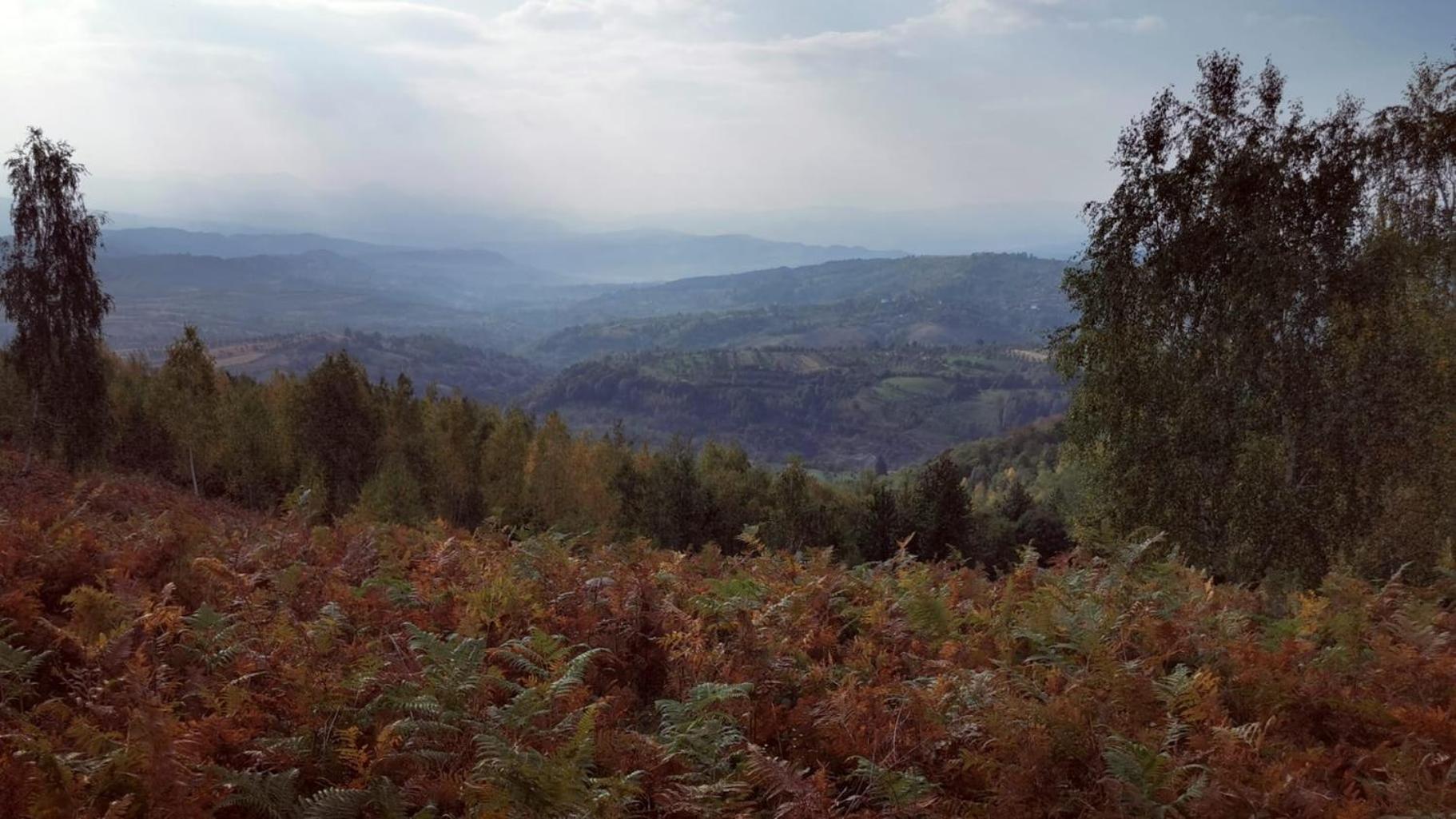 Отель Motolan Mehadica Экстерьер фото